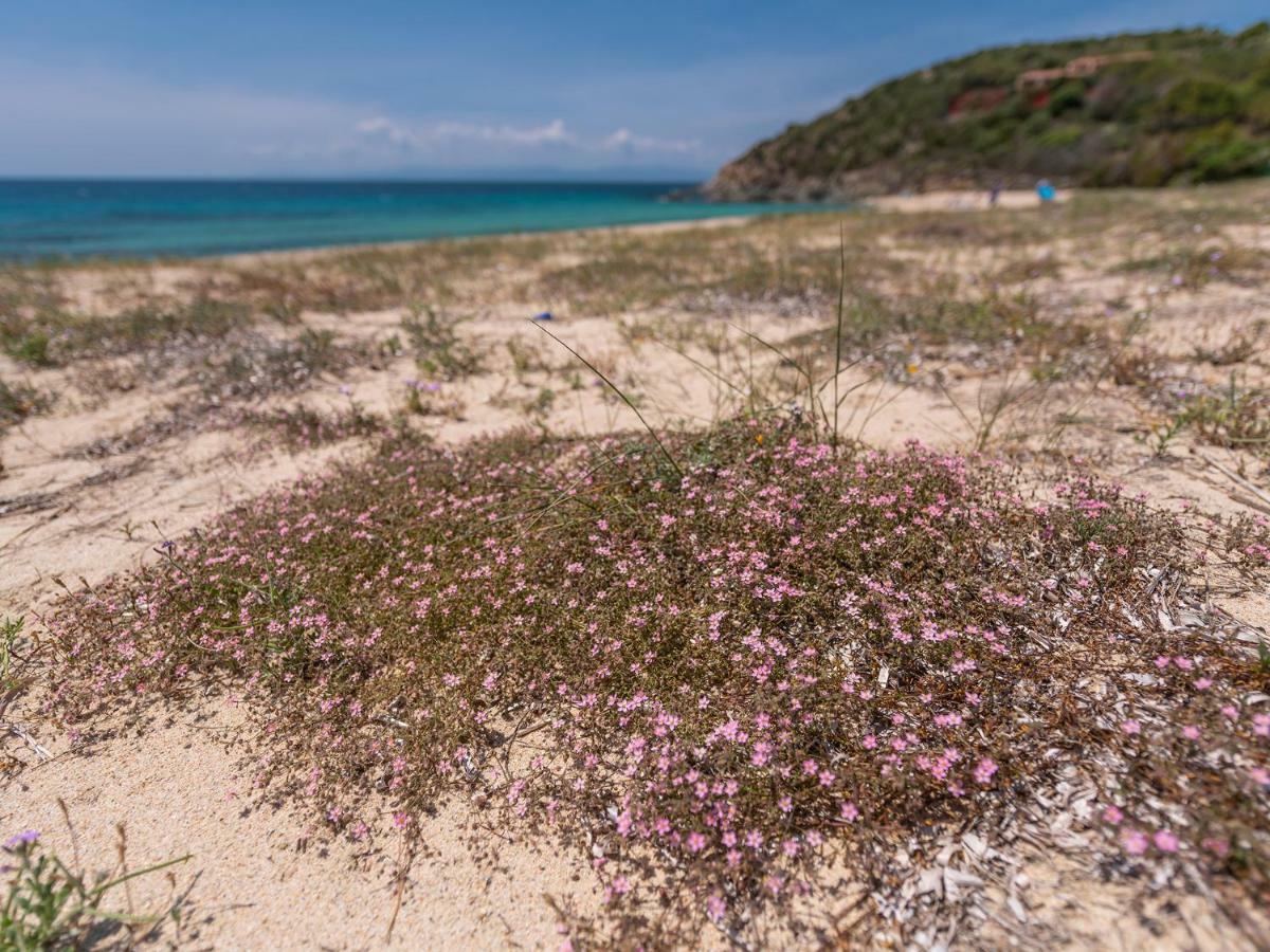 Sardinia Spa Apartment Geremeas Ngoại thất bức ảnh